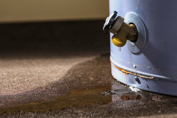 Best Water damage restoration near me  in Reidsville, GA