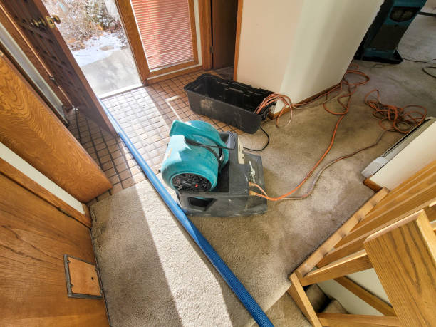 Professional Water damage restoration in Reidsville, GA