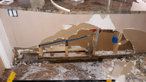 Best Water damage restoration services  in Reidsville, GA
