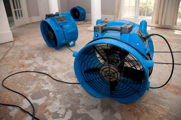 Best Residential water damage restoration  in Reidsville, GA