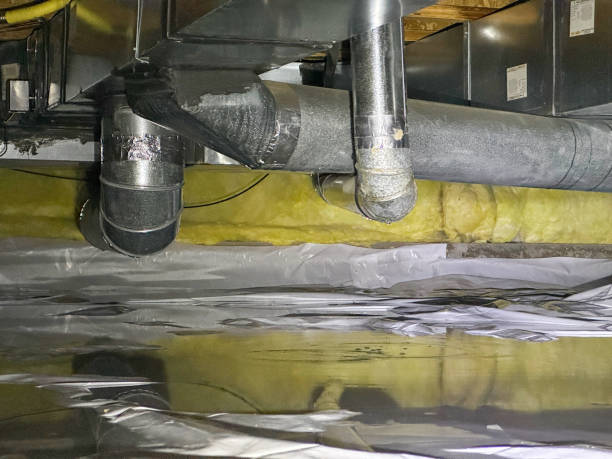 Best Flood restoration services  in Reidsville, GA