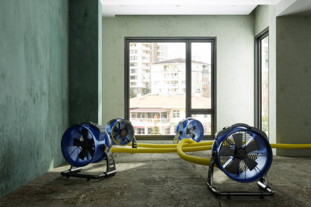 Best Water damage restoration insurance claims  in Reidsville, GA